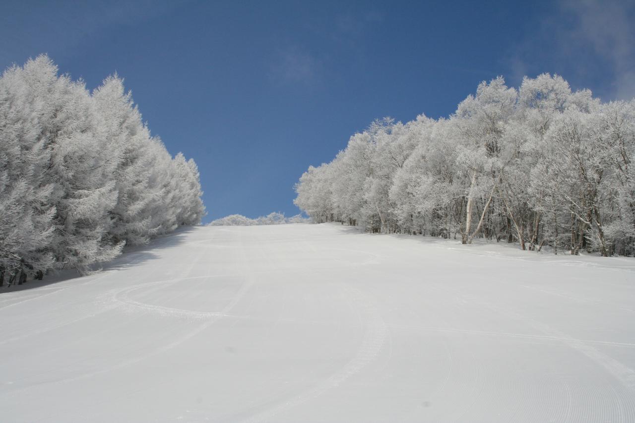 Arcadia Hotel Nagano Bagian luar foto